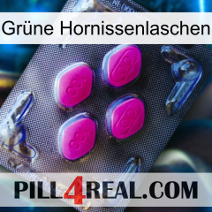 Grüne Hornissenlaschen 02